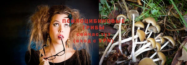 молекула духа Волоколамск